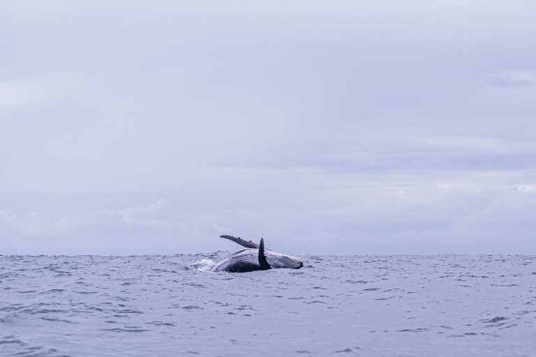 Sara Gaviria Villa - 9