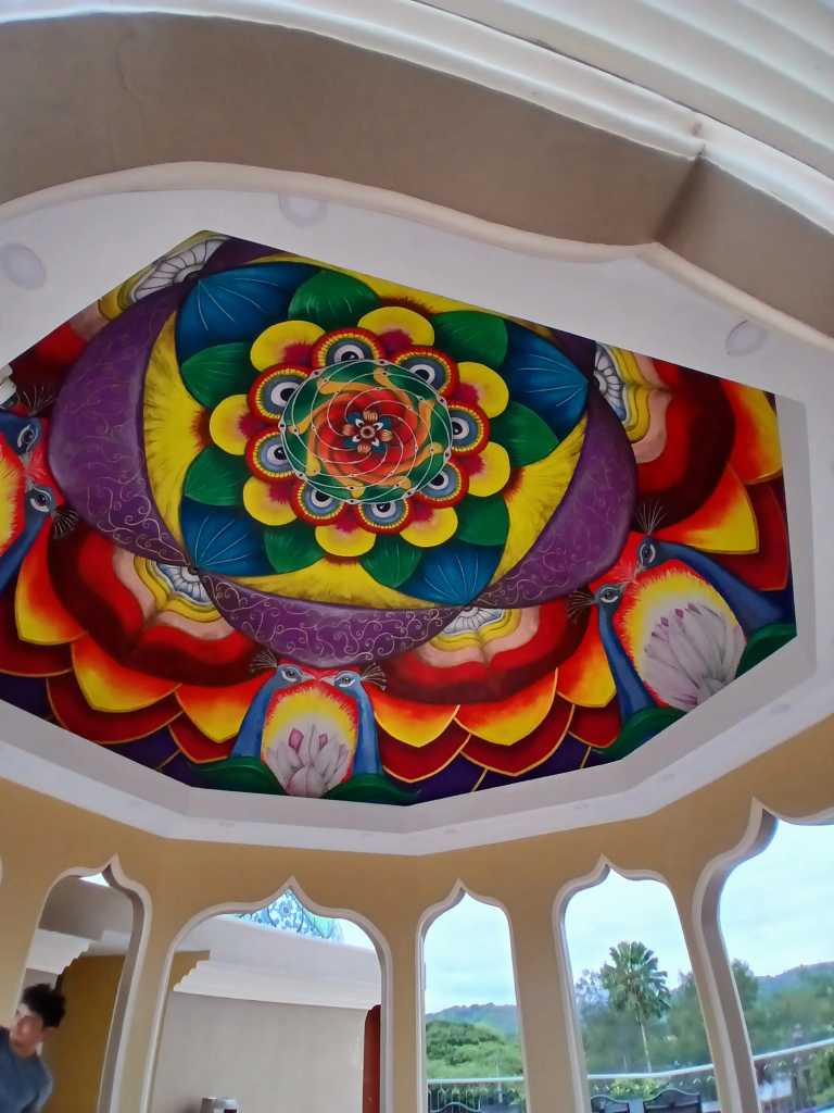 Megan Létourneau - 6