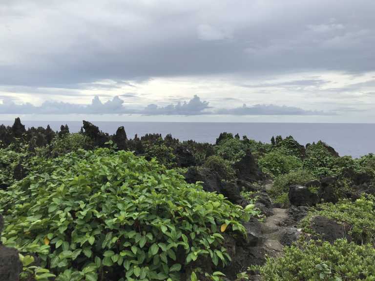 Katerina Ekavi Tsantili - 4