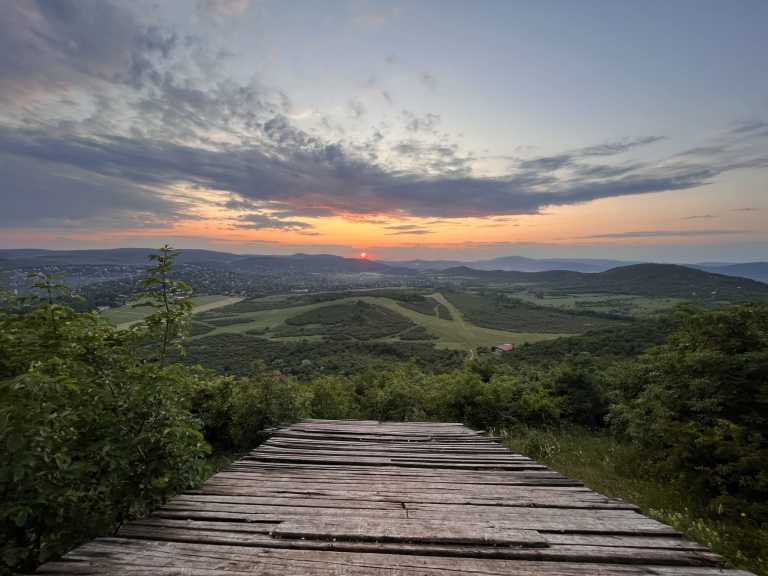 Borbala Bella Hegyi - 6