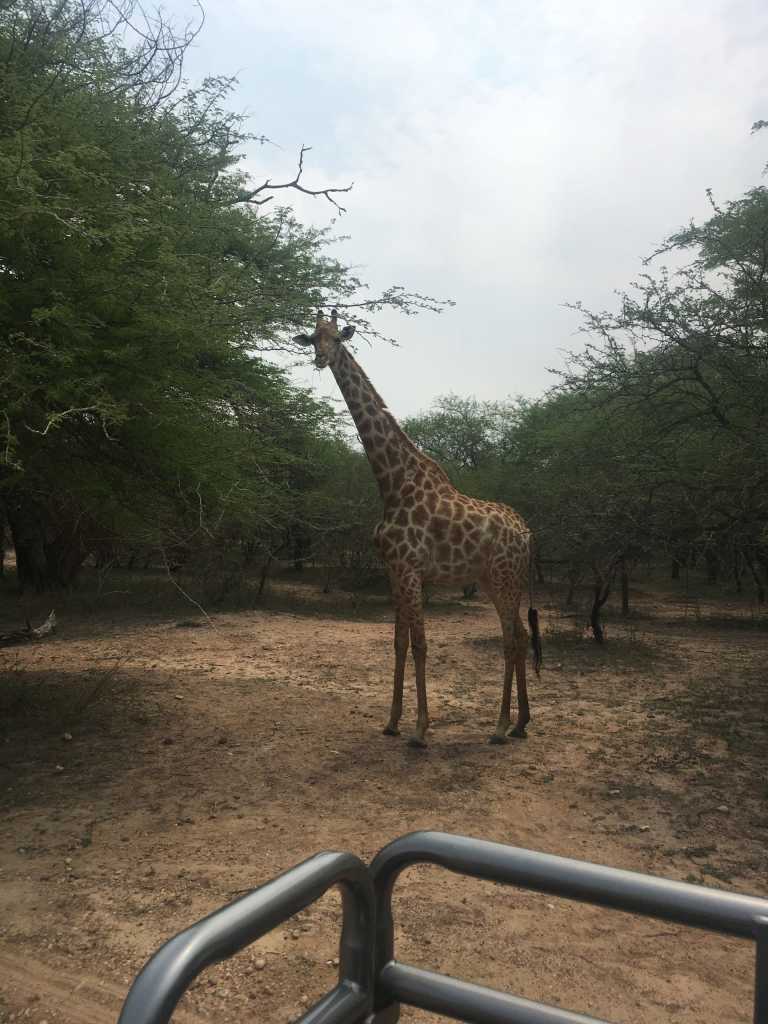 Emily Dickinson - 10