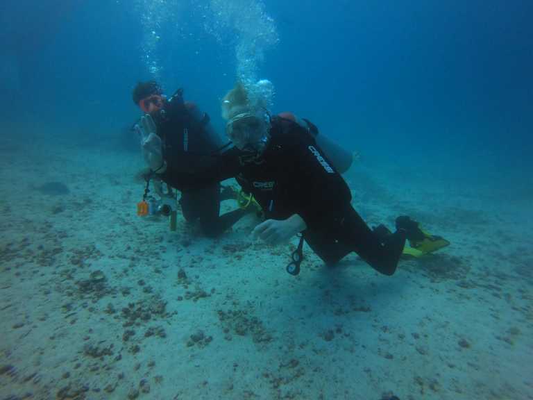 Alexander Stanulla - 6