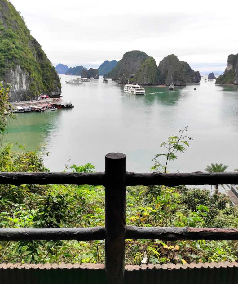 Ana P Figueiredo - 2