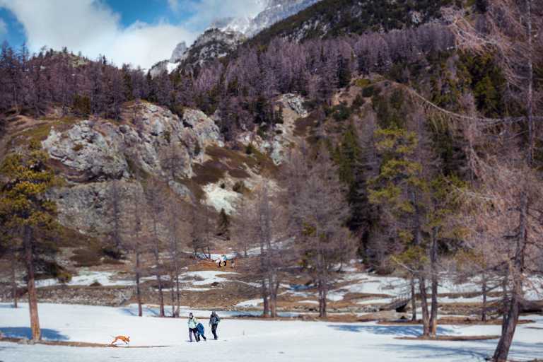 Nathanael Buzelli - 1