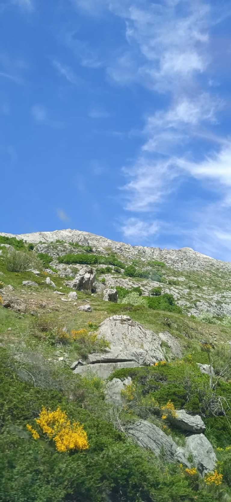 Elisa Jolin Feijoó - 5