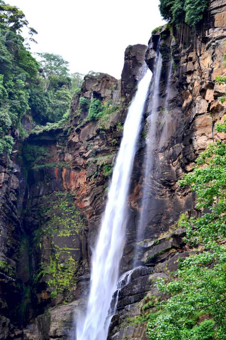 Madhawa Karalliyadda - 4