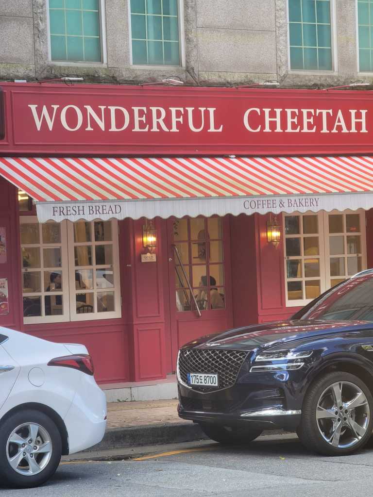 JAMSHEDJON KHURSHEDZODA - 1