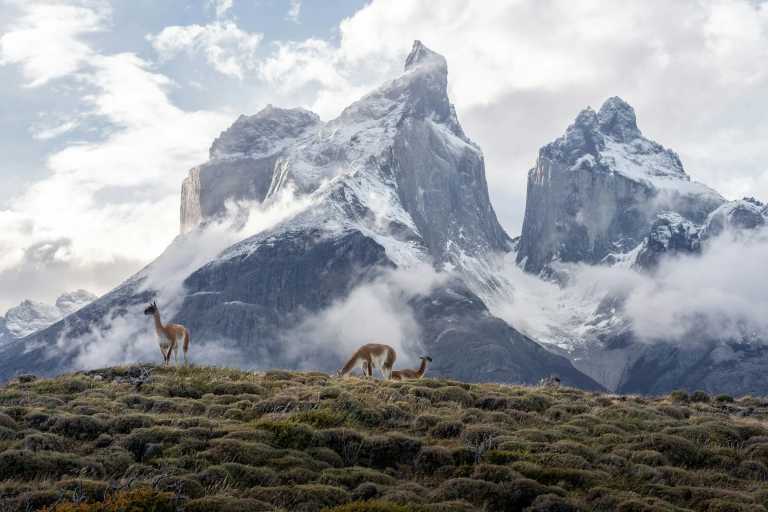 Chile - Chilean Patagonia - 11 Days Chile Ultimate Adventure: Patagonia W Trek & Atacama Desert
