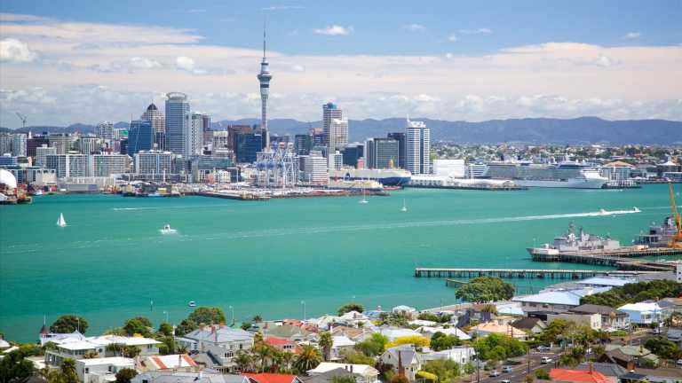 Oceania - Auckland - 🌟 New Zealand + 8 Days Boat Safari Whale Tour in the Cook Islands 🌊🐋 - 3