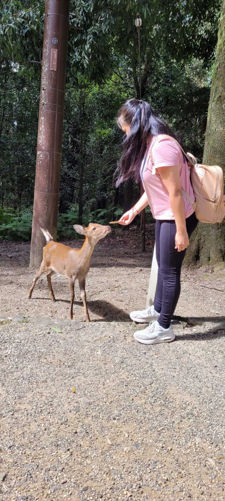 Lyssette Herrera Garcia - 28