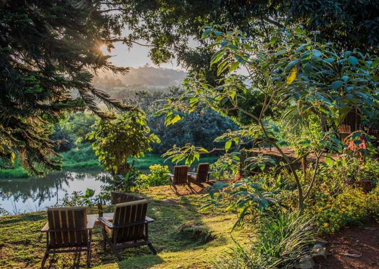 Uganda - ViaVia Entebbe - UGANDA!! Self drive 4x4 Land Cruiser 🦍🌿Gorilla & Rhino tracking! Coffee, Waterfalls & Hikes 🇺🇬 - 4