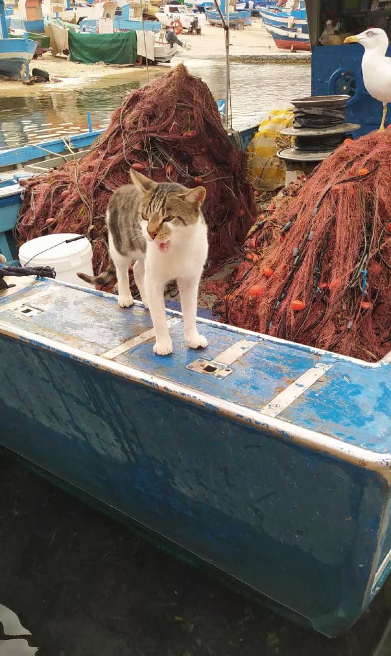 Letizia Galletti - 31