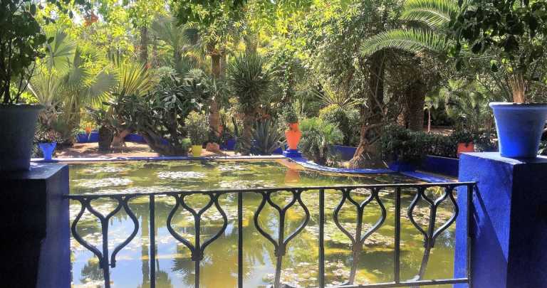 Morocco - Marrakesh - 🌵 MOROCCO OCTOBER 2026: MARRAKECH & THE SAHARA DESERT 🐫 - 3