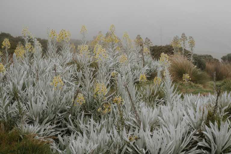 Sara Gaviria Villa - 10