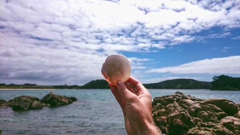New Zealand - Paihia - Guided Motorcycle New Zealand Adventure Trip