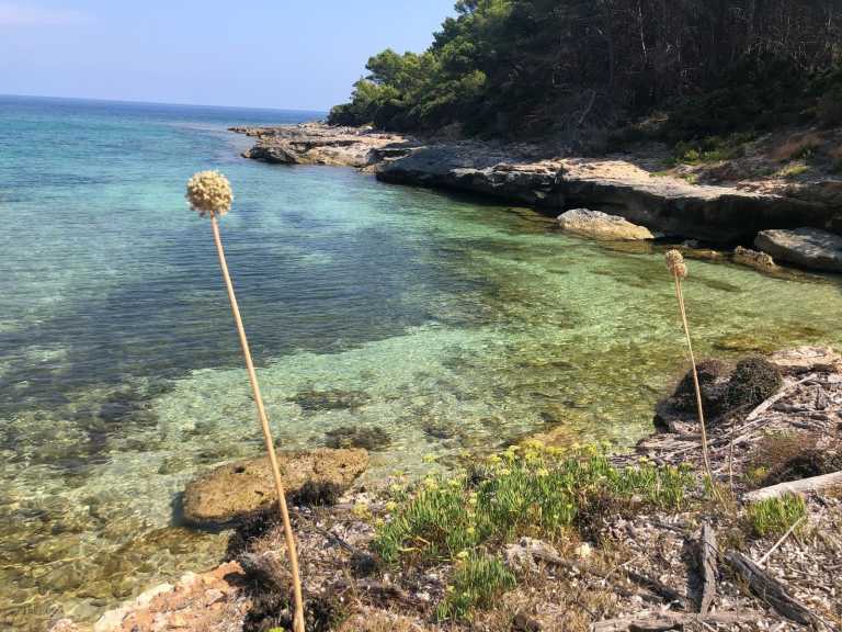 Annarita Dal Pino - 7