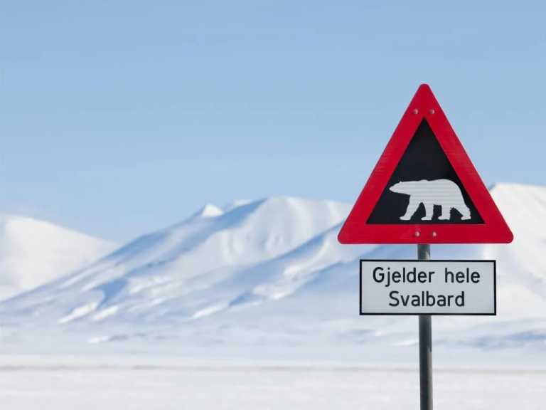 Svalbard - SVALBARD - THE NORTH IS CALLING - JoinMyTrip
