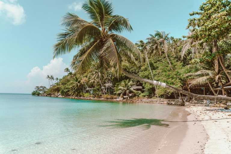 Thailand - Ko Pha Ngan - Focus, Create & Connect – A Coworking Adventure on Koh Phangan - 3