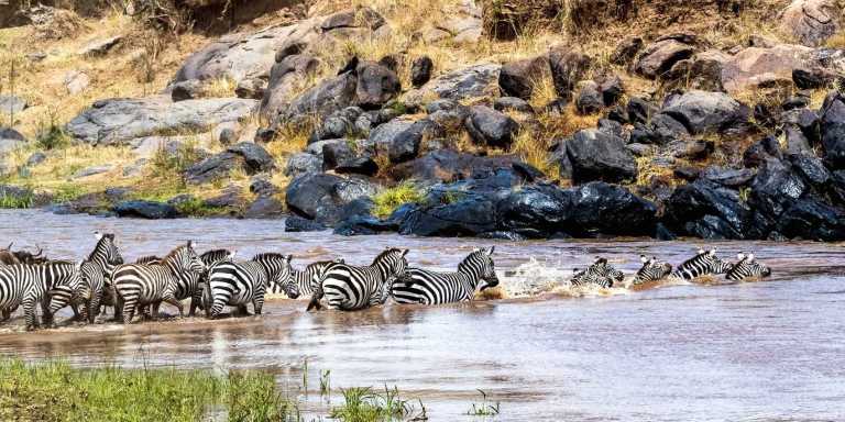 Kenya - Maasai Mara National Reserve - 🌍 Wild Wonders of Kenya | All-Inclusive Raw Nature Jeep Safari 🐘🦁🌅 - 2