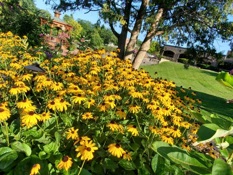 Kelsey  Richardson  - 7