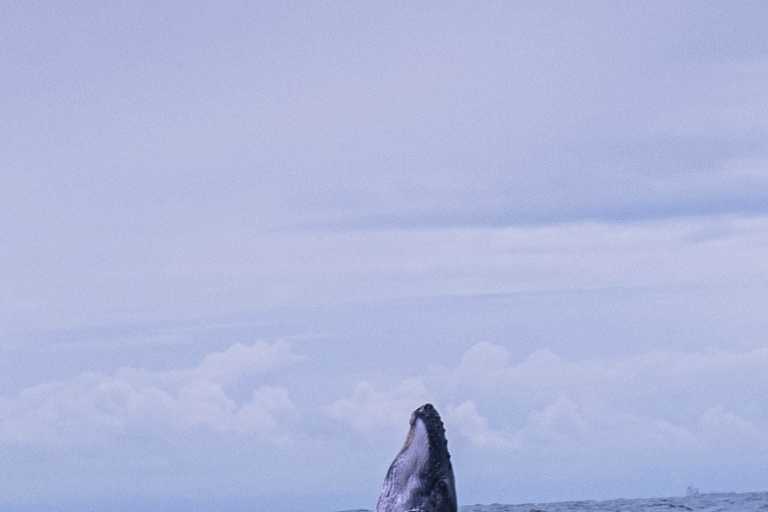 Sara Gaviria Villa - 24