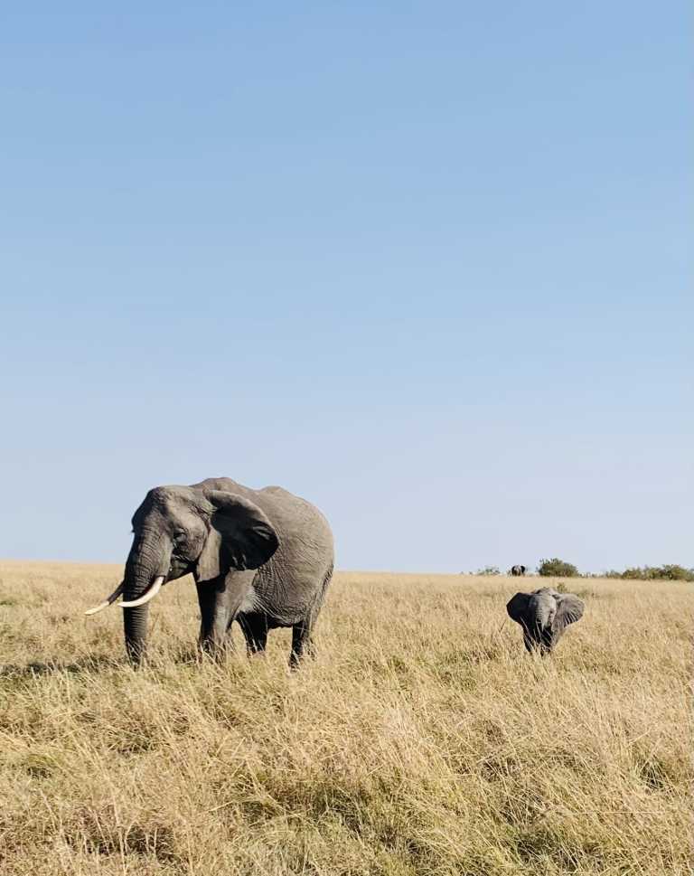 Tania Rodriguez Ramos - 1