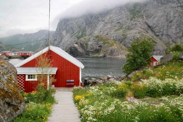 Norwegen - Bodø - Summer Road Trip Lofoten: Scenic Drives and Hikes 🚗🏞️