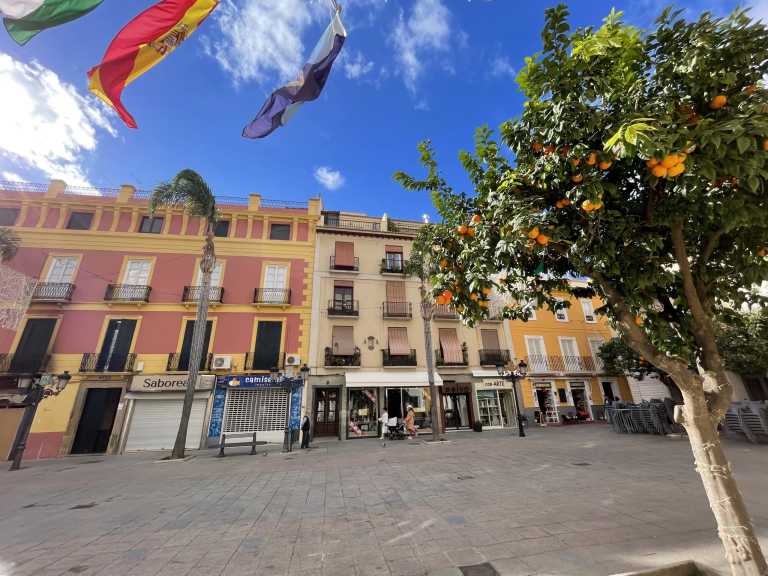 Kat Solyelcompositorbach - 7