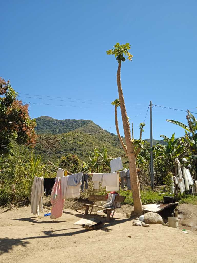 Marzio Giacomini - 7