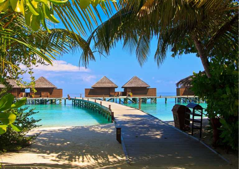 Maldives - Exotic Celebration: Maldives an Escape to an Oasis - JoinMyTrip