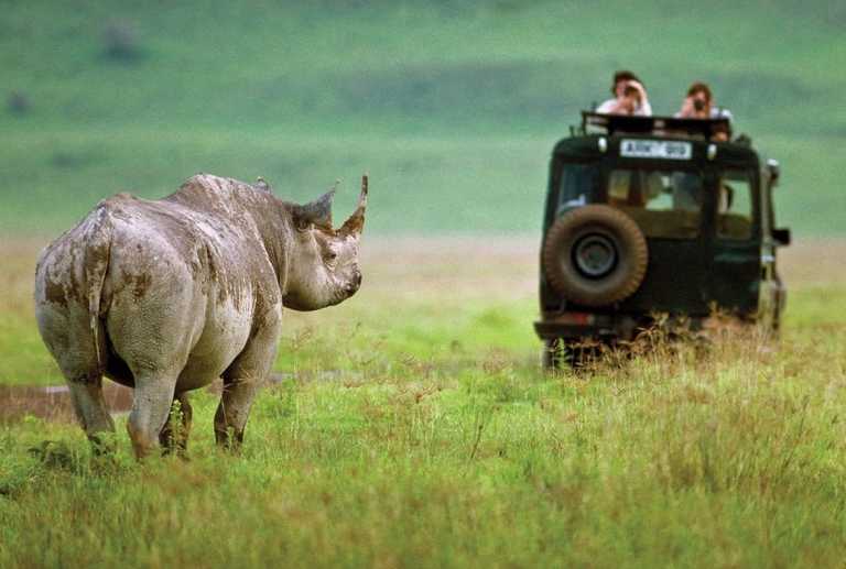 Tanzania - Tarangire, Laka Manyara, Serengeti, Ngorongoro Crater and Lake Eyasi - JoinMyTrip