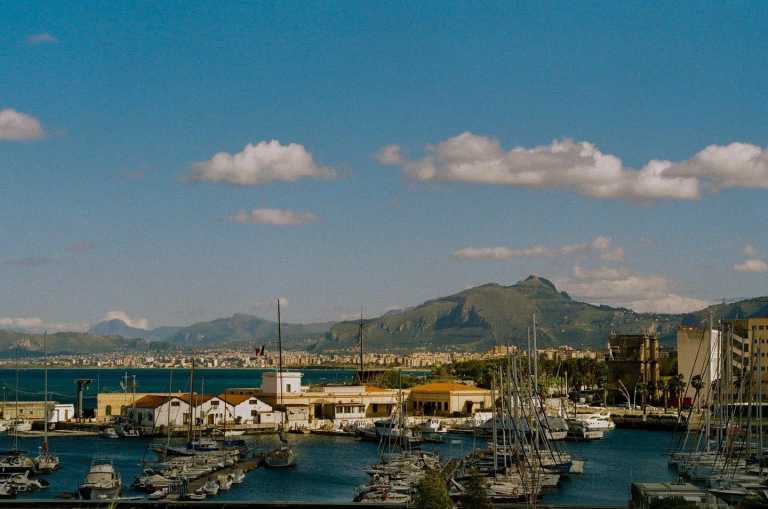 Wiktoria Czarnota - 2