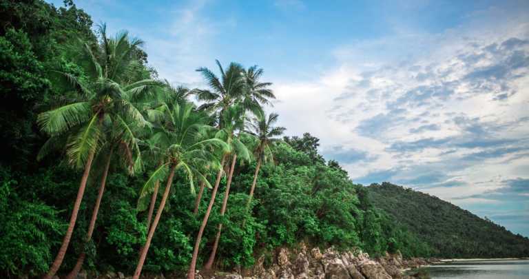 Thailand - Ko Pha-ngan - Flow & Glow: 6 Days of Pilates, Paradise & Pure Reset in Thailand 🌴