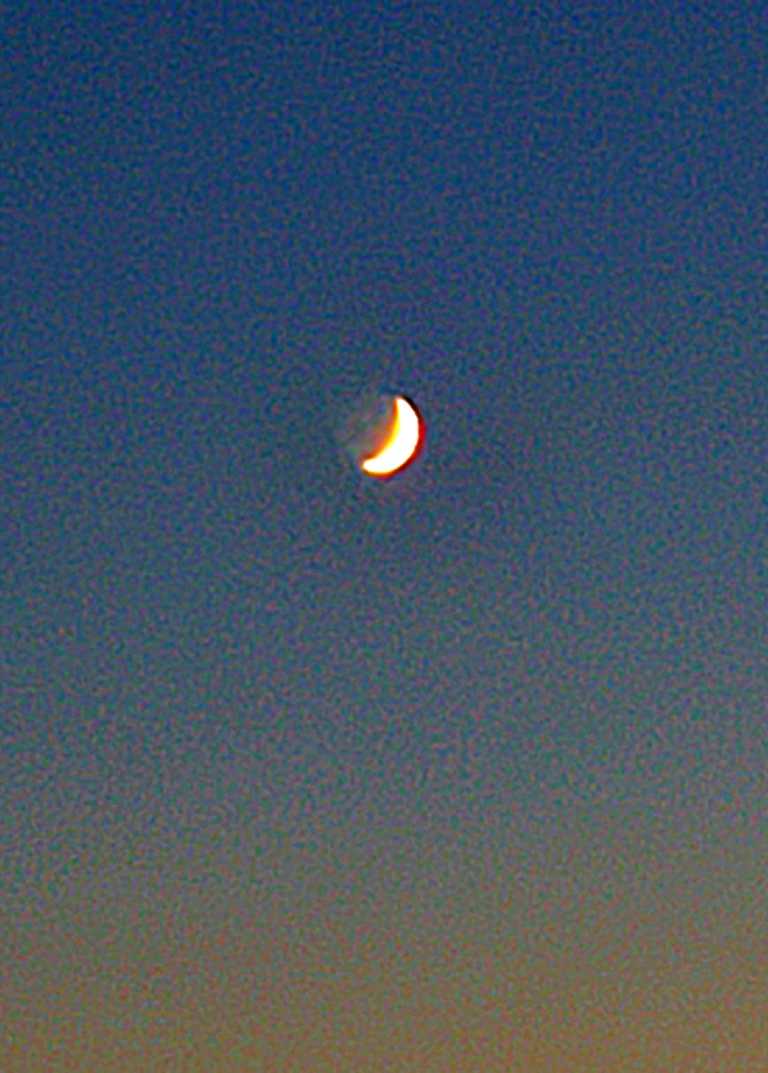 Kelsey  Richardson  - 11