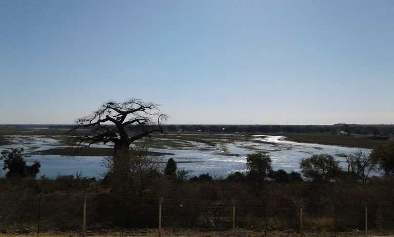 Sue-Ellen Abrahams - 5