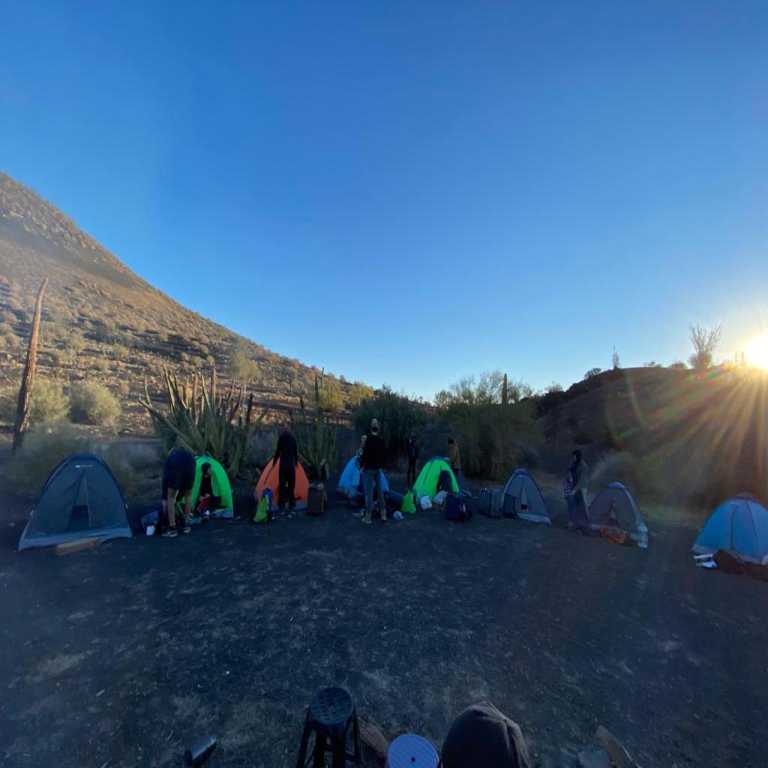 Fernando de la Parra - 0