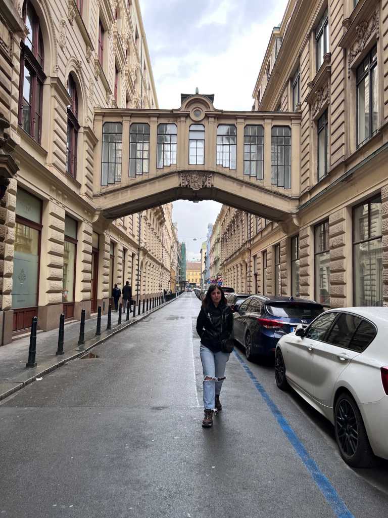 harika toğrulca - 0