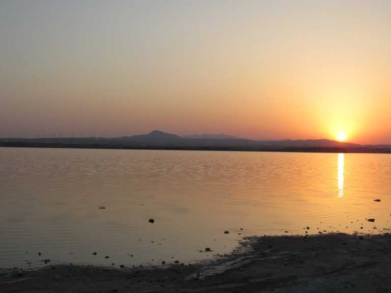 Stavroulla Vasileiou - 3