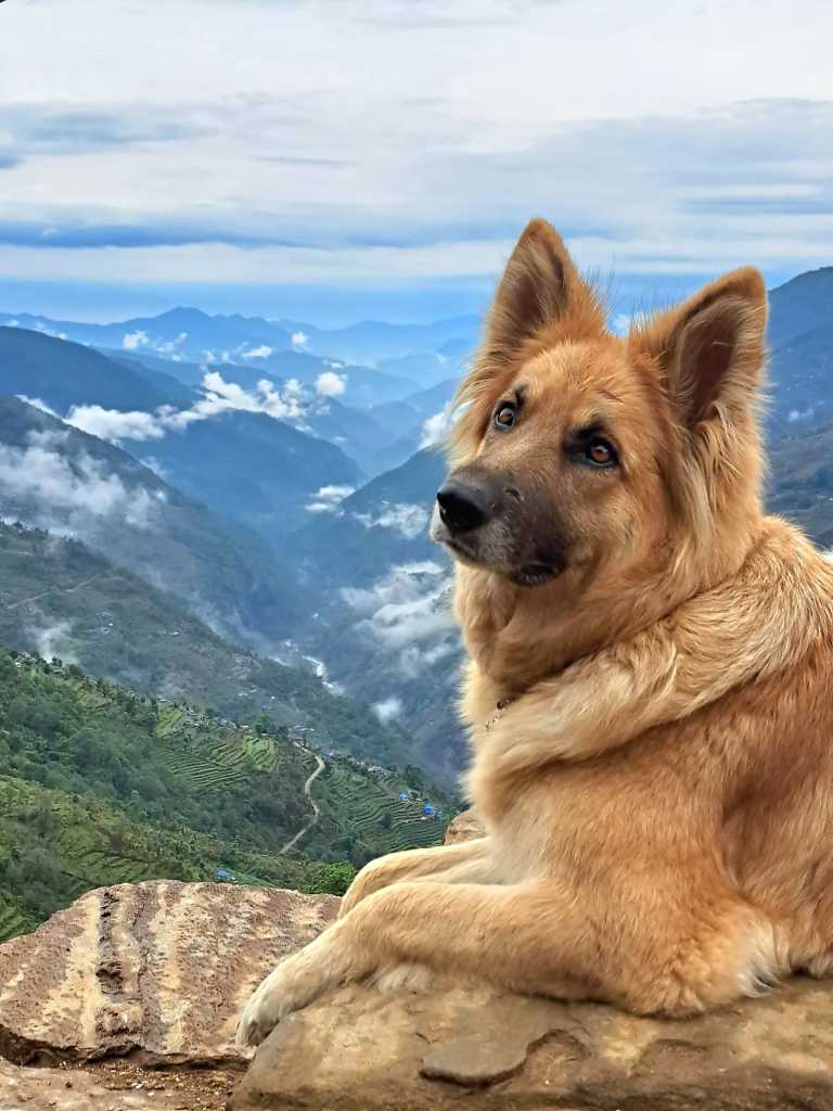 Pujan  Silwal Chhetri  - 10