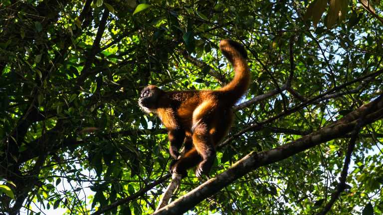 Tania Rodriguez Ramos - 4