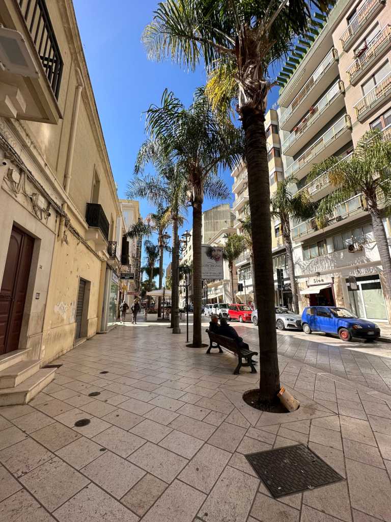 Valerio Marcantognini - 6