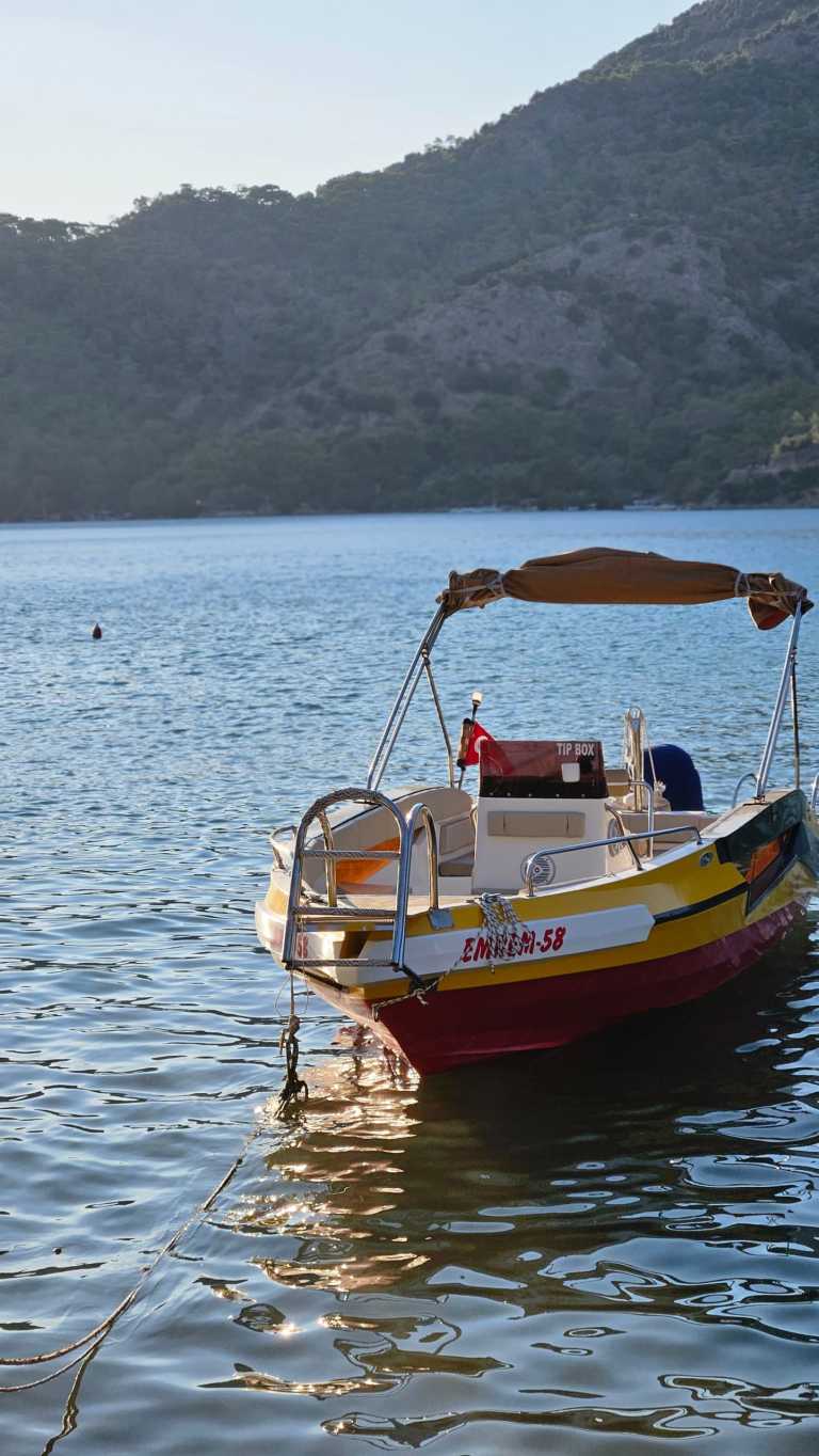 Mujtaba  Shoukath - 11