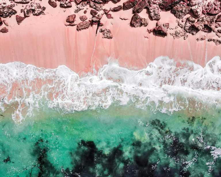 Indonesia - Pink Beach - Sailing adventure: Komodo Island, pink beach, snorkling, padar island with local