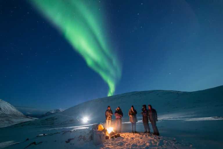 Norwegen - Northern Lights on Epic Snowmobiles and Reindeer Sleds 🦌 | Whale Watching in Norway - Tromso - JoinMyTrip