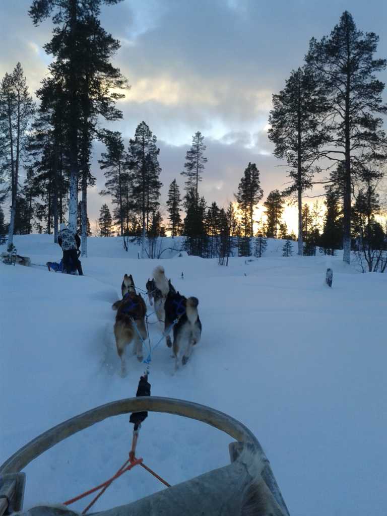 Migle Duncikaite - 0