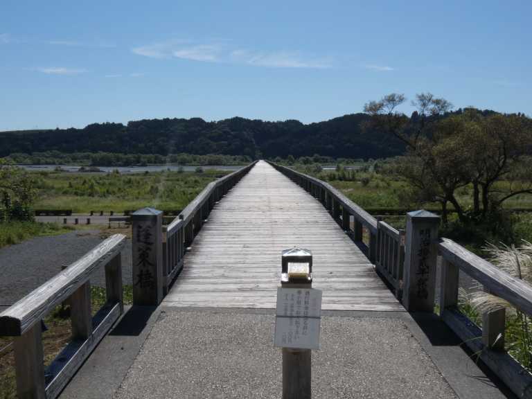 Russell Strawser - 6