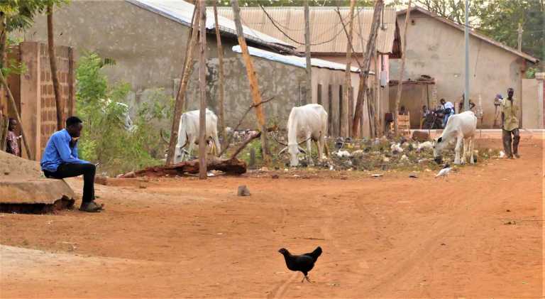 Juan Ignacio Incardona - 9