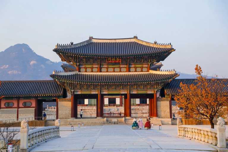 Eastern Asia - Nami Island - Discover South Korea & Japan (Private room): Nami Island, Mount Fuji, Samurai Experience, Matcha making and more!