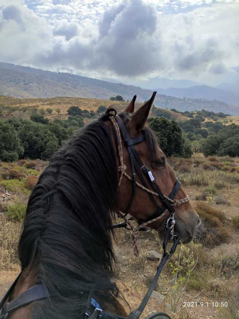 Marie Isabelle Nescu - 3