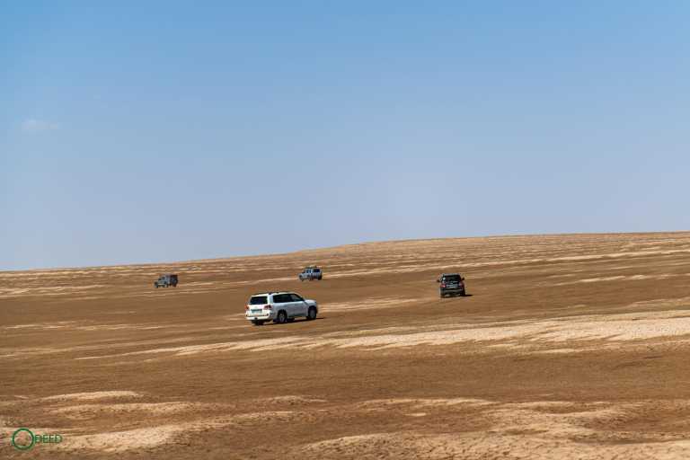 Ashkan Hedayati - 10